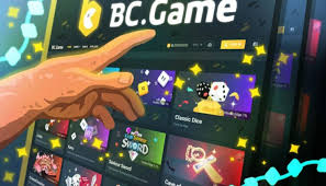 Complete Guide to the BC Everything You Need to Know
