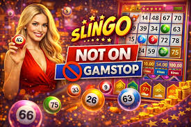 Discovering Non GamStop Bingo Sites A Guide for Players 953336566